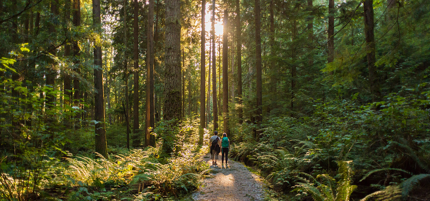 Hiking in Azores