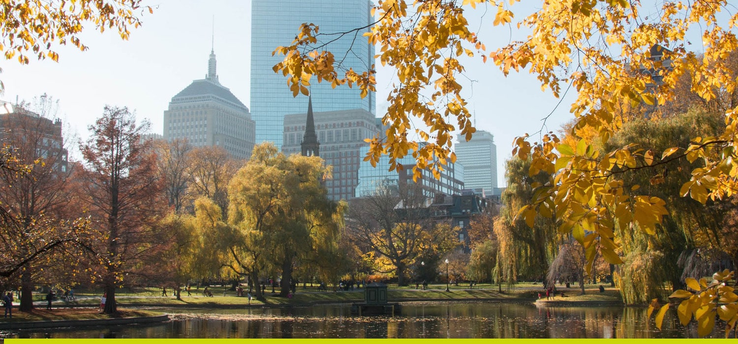 Garden with a magnificent view from Boston