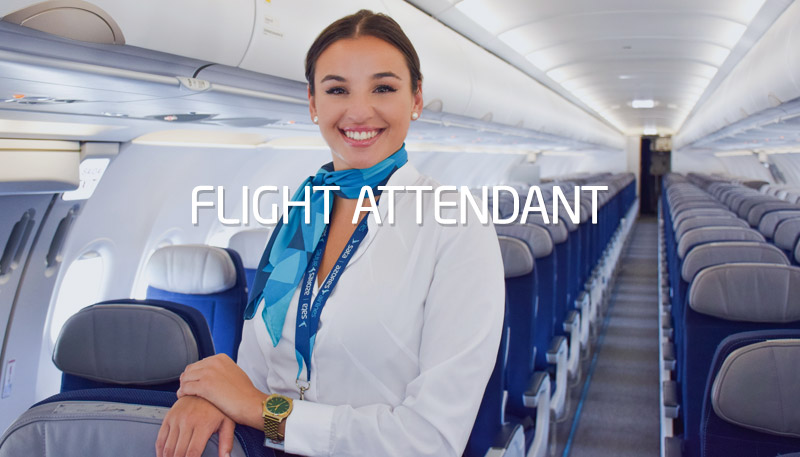 Flight Attendant