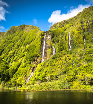 Flores, Açores