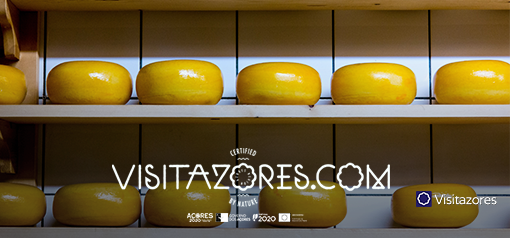 Azorean cheese