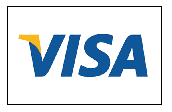 Visa icon